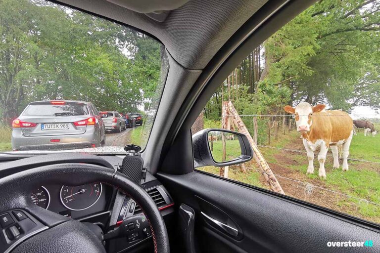 Spa Francorchamps F1 parking next to a cow